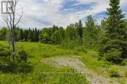LOT 78 141 HIGHWAY | Rosseau Ontario | Slide Image Eleven