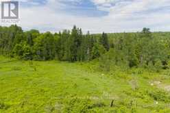 LOT 78 141 HIGHWAY | Rosseau Ontario | Slide Image Thirteen