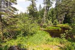LOT 78 141 HIGHWAY | Rosseau Ontario | Slide Image Six