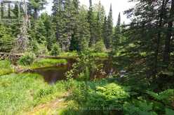 LOT 78 141 HIGHWAY | Rosseau Ontario | Slide Image Seven