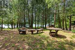 27 HOPE DRIVE | Miller Lake Ontario | Slide Image Forty-two