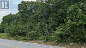 837 ASPDIN ROAD | Huntsville Ontario | Slide Image Seven