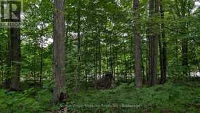 837 ASPDIN ROAD | Huntsville Ontario | Slide Image One