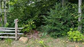 837 ASPDIN ROAD | Huntsville Ontario | Slide Image Twelve