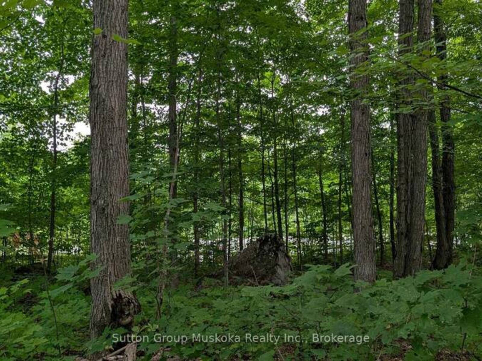 837 ASPDIN ROAD, Huntsville, Ontario P1H 0H2