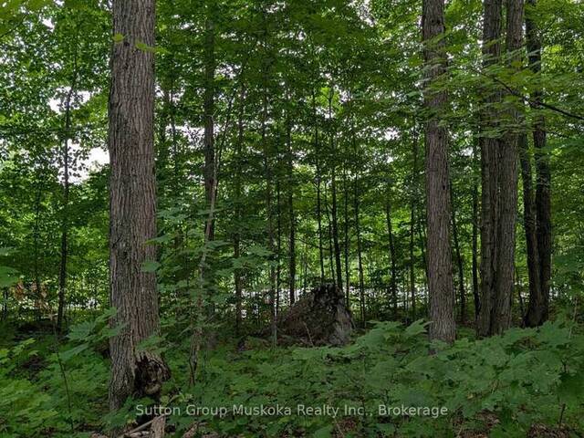 837 ASPDIN ROAD Huntsville Ontario, P1H 0H2 - Vacant Land For Sale