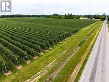 PT LT 31 SIDEROAD 30 | Thornbury Ontario | Slide Image Nine