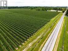 PT LT 31 SIDEROAD 30 | Thornbury Ontario | Slide Image Five