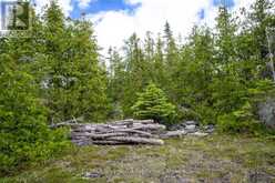 149 ROBERT ALLEN DRIVE | Tobermory Ontario | Slide Image Thirty-five