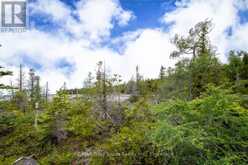 149 ROBERT ALLEN DRIVE | Tobermory Ontario | Slide Image Fifteen