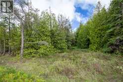149 ROBERT ALLEN DRIVE | Tobermory Ontario | Slide Image Forty-three