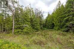 149 ROBERT ALLEN DRIVE | Tobermory Ontario | Slide Image Forty-four