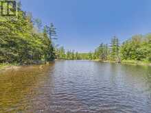 1215 118 HIGHWAY E | Bracebridge Ontario | Slide Image Three