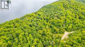 0 ADELINE TRAIL | Haliburton Ontario | Slide Image Fifteen