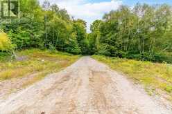 0 ADELINE TRAIL | Haliburton Ontario | Slide Image Forty-one