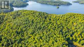 0 ADELINE TRAIL | Haliburton Ontario | Slide Image Thirty-five