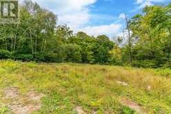 0 ADELINE TRAIL | Haliburton Ontario | Slide Image Forty-two