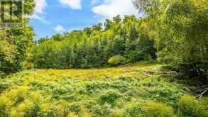 0 ADELINE TRAIL | Haliburton Ontario | Slide Image Eight