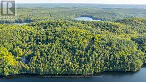 0 ADELINE TRAIL | Haliburton Ontario | Slide Image Thirty-six