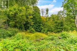 0 ADELINE TRAIL | Haliburton Ontario | Slide Image Five