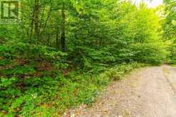 0 ADELINE TRAIL | Haliburton Ontario | Slide Image Nine