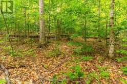 0 ADELINE TRAIL | Haliburton Ontario | Slide Image Ten