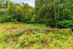 0 ADELINE TRAIL | Haliburton Ontario | Slide Image Six