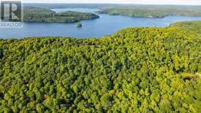 0 ADELINE TRAIL | Haliburton Ontario | Slide Image Three