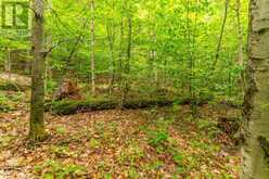 0 ADELINE TRAIL | Haliburton Ontario | Slide Image Eleven