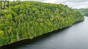 0 ADELINE TRAIL | Haliburton Ontario | Slide Image Nineteen