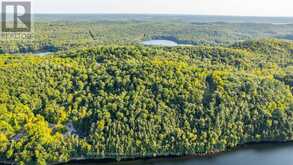 0 ADELINE TRAIL | Haliburton Ontario | Slide Image Thirty-eight
