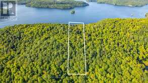 0 ADELINE TRAIL | Haliburton Ontario | Slide Image Two