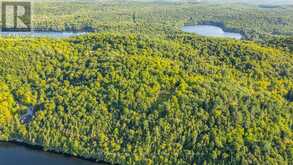 0 ADELINE TRAIL | Haliburton Ontario | Slide Image Thirty-nine