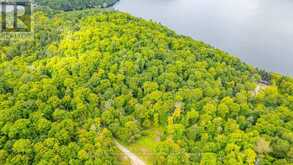 0 ADELINE TRAIL | Haliburton Ontario | Slide Image Thirteen