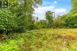 0 ADELINE TRAIL | Haliburton Ontario | Slide Image Four