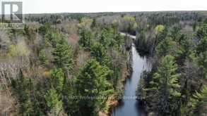 TBD BOBCAYGEON ROAD | Minden Hills Ontario | Slide Image Five