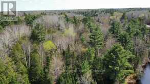 TBD BOBCAYGEON ROAD | Minden Hills Ontario | Slide Image Six