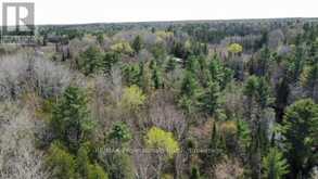 TBD BOBCAYGEON ROAD | Minden Hills Ontario | Slide Image Eight