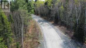 TBD BOBCAYGEON ROAD | Minden Hills Ontario | Slide Image Thirteen