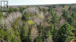 TBD BOBCAYGEON ROAD | Minden Hills Ontario | Slide Image Four