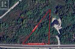LOT 43 COUNTY RD 16 ROAD | Waubaushene Ontario | Slide Image One