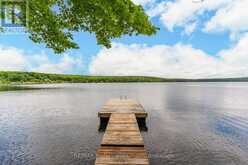 17102 HIGHWAY 35 | Algonquin Highlands Ontario | Slide Image Forty-two