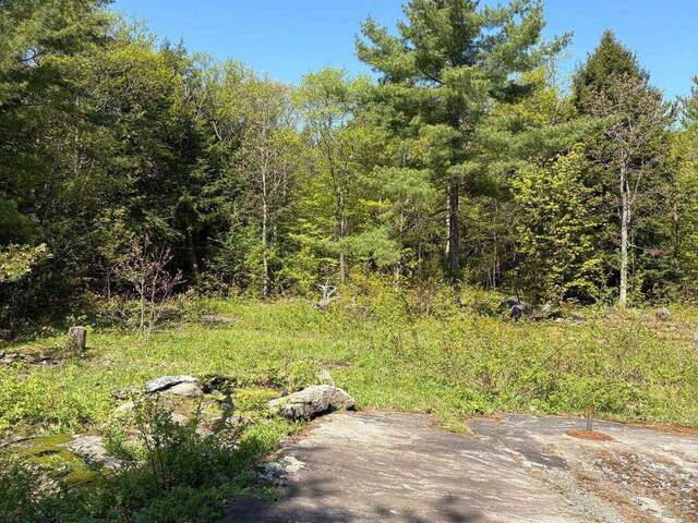175 NORTH SANDY PLAINS ROAD Seguin Ontario, P2A 2W8 - Vacant Land For Sale