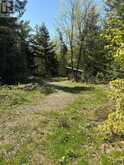 175 NORTH SANDY PLAINS ROAD | Seguin Ontario | Slide Image Five