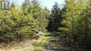 175 NORTH SANDY PLAINS ROAD | Seguin Ontario | Slide Image Seven