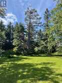 9038 COUNTY RD 91 ROAD | Duntroon Ontario | Slide Image Nine