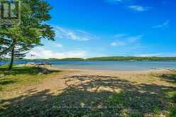 25 ISLAND 20C | Carling Ontario | Slide Image Three