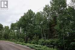 447 FOX RUN | Temagami Ontario | Slide Image Thirteen