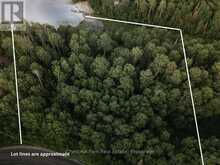 447 FOX RUN | Temagami Ontario | Slide Image Seventeen