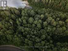 447 FOX RUN | Temagami Ontario | Slide Image Twenty-two